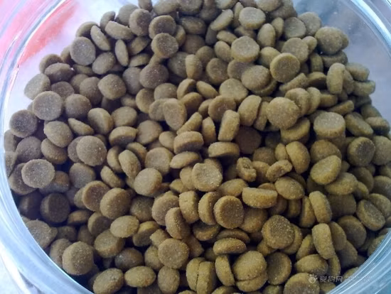 High Quality Automatic Pet Food Facility Home Use Applicable Equipment for Poppy Food Floating Pet Food Equipment Processing Line Extruder Equipment Manufacture